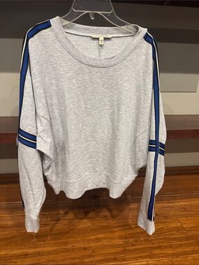 Express Light Gray Sweatshirt with Blue and Black Stripe Detail